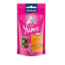 Vita Craft Cat Snack Glass 40 gm