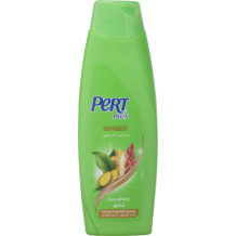 Bert Plus Shampoo with Ginger Extract (for hair loss) 200 ml