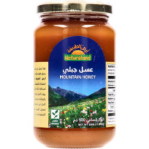 Natureland Mountain Honey 500 gm