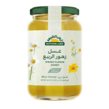 Natureland Spring Flowers Honey 500 gm