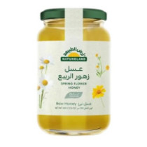 Natureland Spring Flowers Honey 500 gm