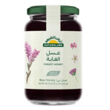 أرض الطبيعة عسل الغابة 500 جرام