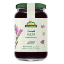 أرض الطبيعة عسل الغابة 500 جرام