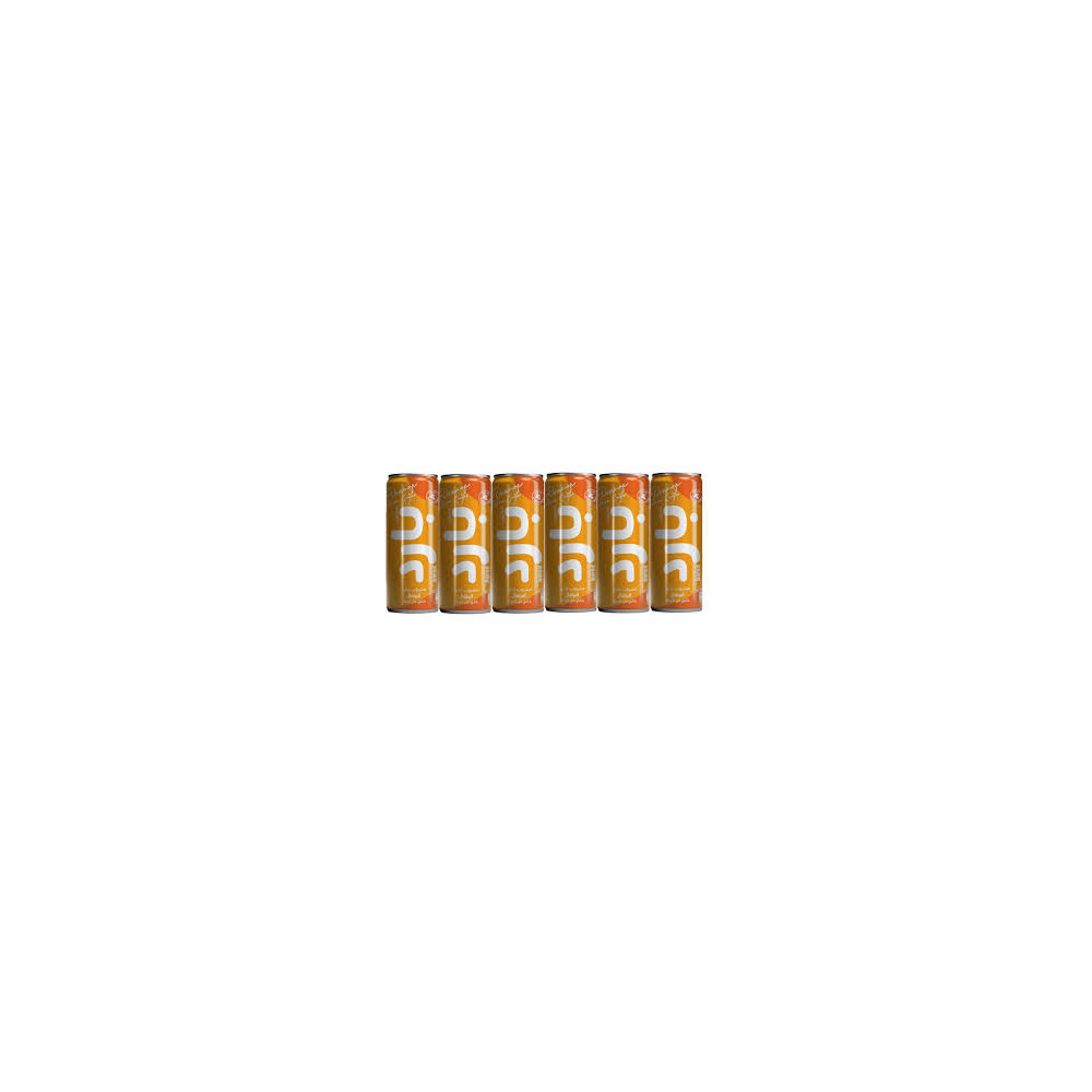 Orange Soft Drink Mineral 250ml