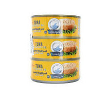 Oceana Light Meat Tuna In Oil (3 Pieces X 160g)