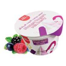 Frozen Yogurt Mix Berry Ice Cream 150 ml