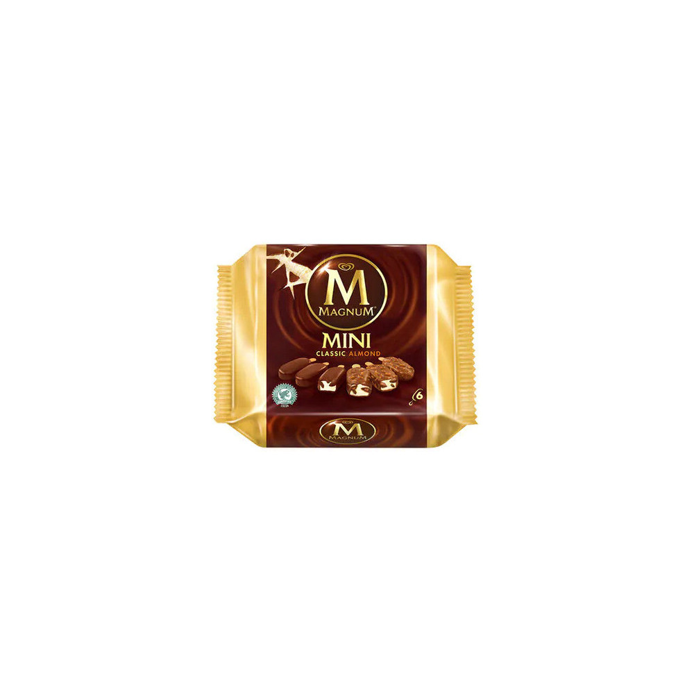 Magnum Vanilla & Chocolate Ice Cream 345 6