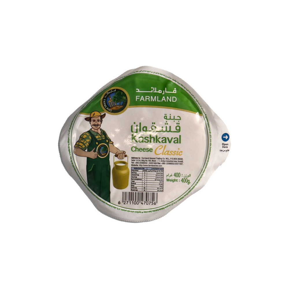 Farm Land Classic Cheese 400 gm