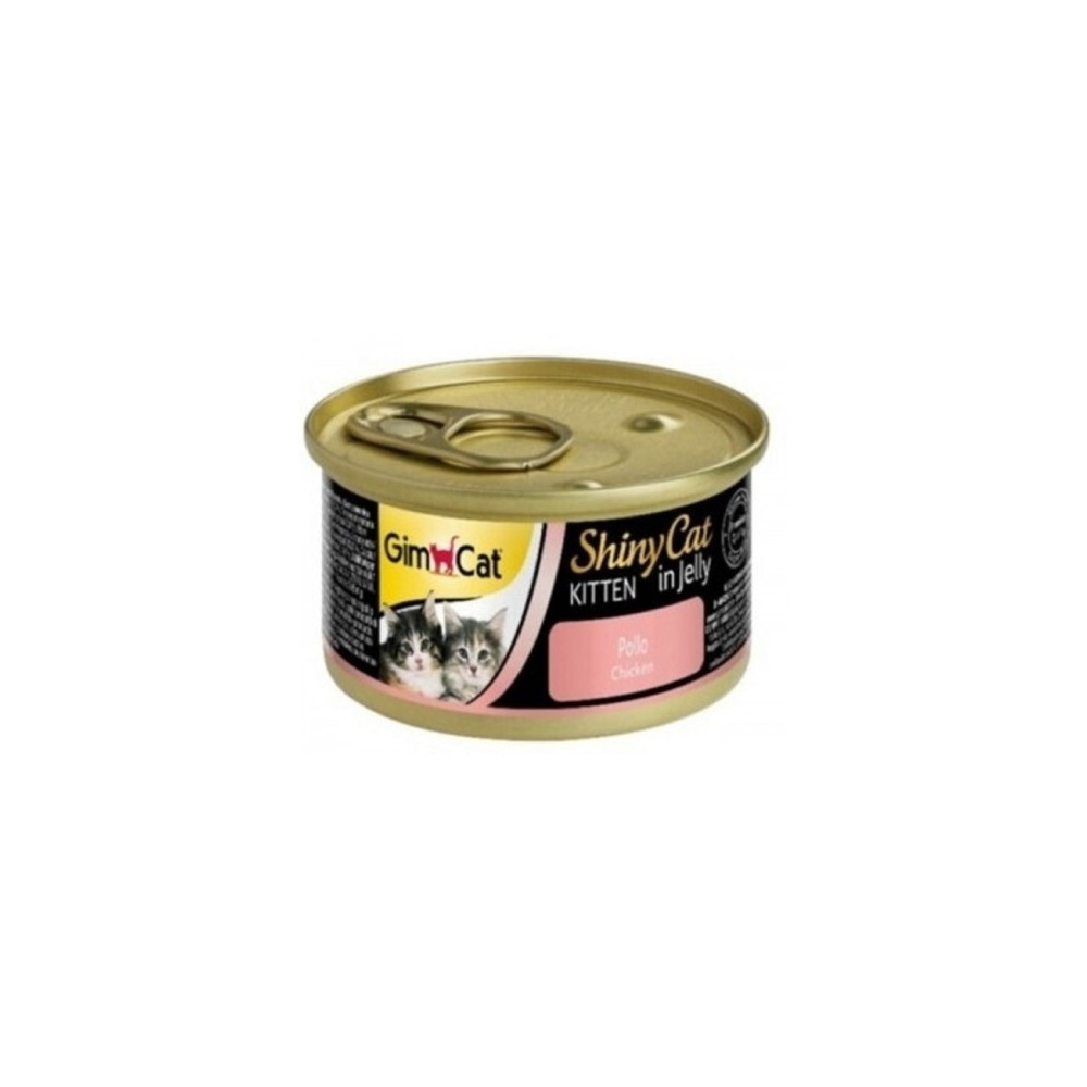 Gym Cat Cat Food 70 gm