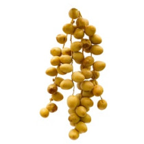 Al Baraka Saudi Barhi Dates 1.500 kg