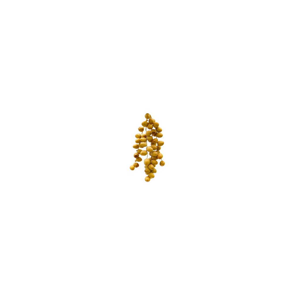 Al Baraka Saudi Barhi Dates 1.500 kg